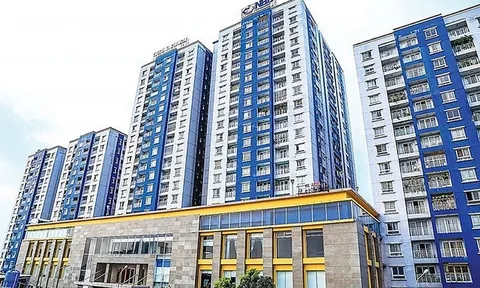 Lợi nhuận của Năm Bảy Bảy “bay màu” hơn 94% do đâu?