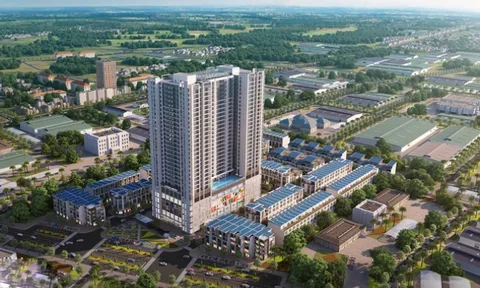 Thua lỗ triền miên, Sufat Việt Nam vẫn muốn làm dự án hơn 2.100 tỷ đồng