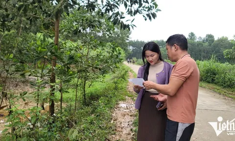 Cấp đất sai, thu tiền vội vì bị 'ép chỉ tiêu', 'treo' luôn hàng chục sổ đỏ?