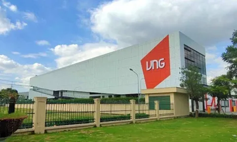 'Siêu' cổ phiếu VNZ: Từ kỳ vọng đến... ảo vọng