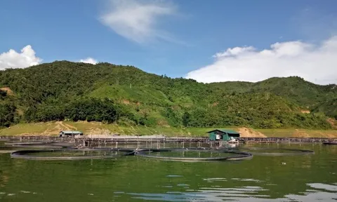 Công ty của ông Đức 'Cá Tầm' chi 1.379 tỷ đồng mua trái phiếu trước hạn trong 5 ngày