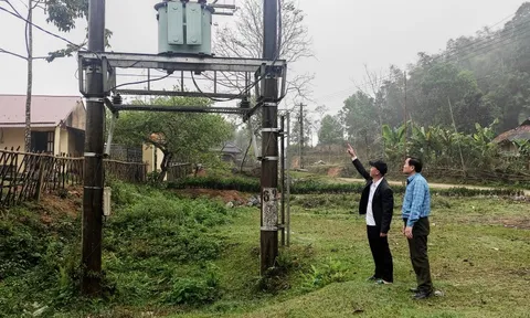 Dân nghèo 'gánh' giá điện cao vì... 72 cây gỗ