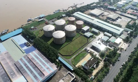 Dầu khí Nam Sông Hậu (PSH): Nghìn tỉ đồng chôn chân tại các dự án dang dở