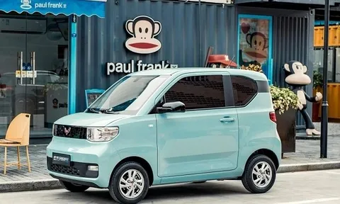 Ô tô điện bán chạy nhất thế giới khó làm hài lòng người Việt