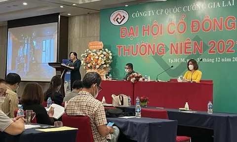 Quốc Cường Gia Lai kinh doanh ra sao sau 7 năm "dậm chân" tại siêu dự án Phước Kiểng