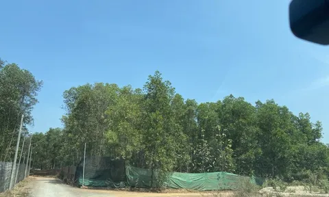 Tân An (Vĩnh Cửu - Đồng Nai): Ngoài dính đất công PNR ESTELLA còn không có đường vào dự án?