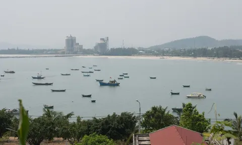 Công ty Phú Xuân: Hiệu quả sử dụng vốn yếu, trúng thầu 2 dự án cảng biển lớn nhất nước