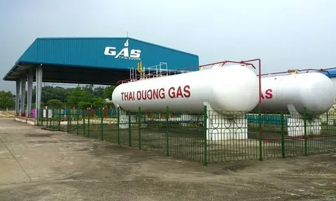 Xin chậm trả gốc trái phiếu, TDG muốn phát hành 50 tỷ đồng trái phiếu “3 không” trong quý 1/2023