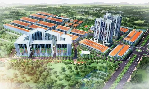 Hộp thư bạn đọc ngày 3/3: Doanh thu "bèo bọt" của Lạc Hồng Phúc, sữa hạt tiểu đường NutriZabet "nổ" công dụng