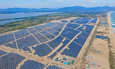 Bamboo Capital: Nợ phải trả xấp xỉ 1,3 tỉ USD, trả lãi vay 3,7 tỉ đồng/ngày