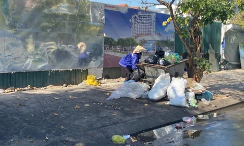 Quảng Ninh: Nhiều dự án trên "đất vàng" bị bỏ hoang