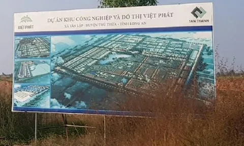 Long đong phận trái chủ Tân Thành Long An