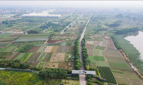 Dự án The Diamond Park vẫn là bãi đất trống sau 15 năm quy hoạch