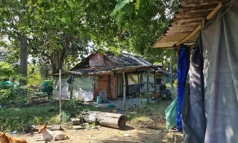 Bình Thuận: Dân sống khổ cực trong Dự án "nghìn tỷ" King Sea Phan Thiết