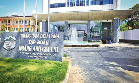Em trai ông Đoàn Nguyên Đức muốn thoái sạch vốn tại Hoàng Anh Gia Lai