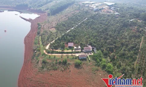 Khu nghỉ dưỡng mọc trái phép trên đất rừng, gần 3 năm chưa xử lý xong