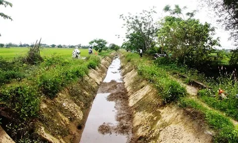 Gần 2.000ha lúa nguy cơ 'chết khát'