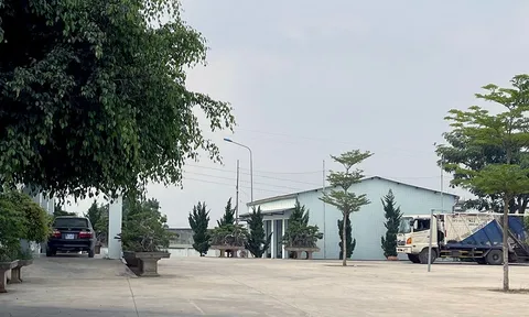 Lâm Đồng rà soát chấm thầu dự án 70 tỷ đồng ở huyện Đơn Dương