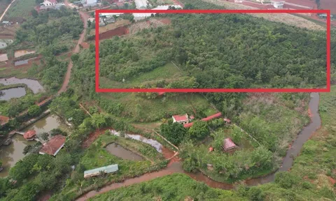 Đắk Nông sắp kiểm tra loạt dự án 'đất vàng' bỏ hoang