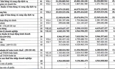 Nguyên nhân khiến Giống cây trồng miền Nam (SSC) báo lãi quý I/2023 giảm sâu?