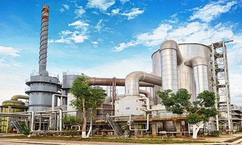 Công ty hóa chất của Chủ tịch Đào Hữu Huyền giảm mạnh doanh thu, lợi nhuận