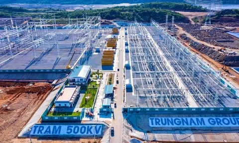 Công ty TNHH Trung Nam Thuận Nam sai phạm, Chính phủ chỉ đạo xử lý nghiêm