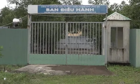 Thừa Thiên Huế: Thu hồi hàng chục dự án chậm tiến độ kéo dài