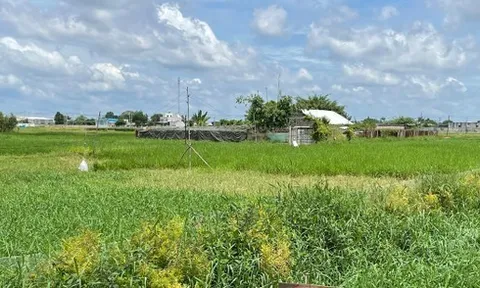 TPHCM: Xóa treo 3 KCN với diện tích gần 700ha