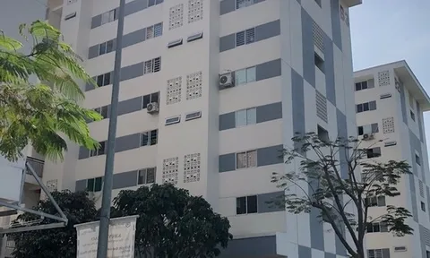 Công ty CP Tập đoàn Trần Anh Long An: Nhiều vi phạm trong quản lý, sử dụng quỹ bảo trì chung cư