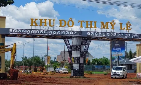 Bình Phước: Kiến nghị thu hồi 13 dự án chậm tiến độ sử dụng đất