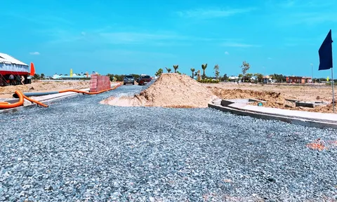 Chấm dứt hoạt động hàng loạt dự án khu dân cư ở Long An