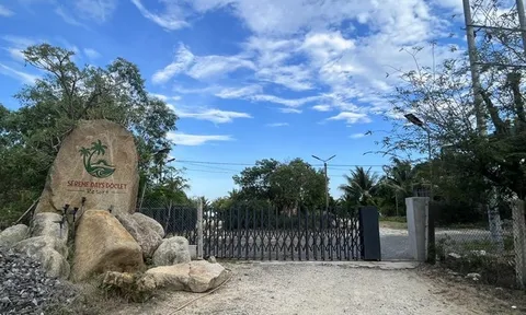 Resort xây 'chui' trên đất Khu kinh tế Vân Phong: Tại cả đôi bên?