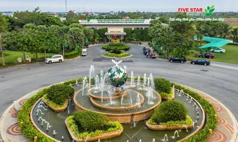 Tập đoàn Quốc tế Năm Sao và Thế Giới Xanh nợ như "Chúa Chổm"