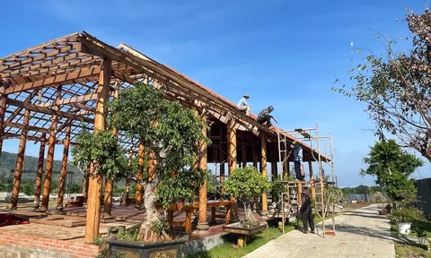 Tháo dỡ nhà gỗ tiền tỷ xây trái phép tại trang trại ngựa ở Đắk Lắk