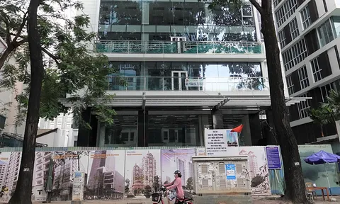 Nguyễn Kim góp vốn trái quy định vào dự án cao ốc 300 tỷ trên đất công