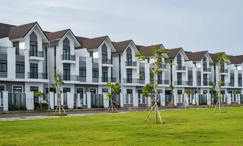 CIC Group (CKG) sở hữu quỹ đất lớn nhưng có nhiều vướng mắc pháp lý