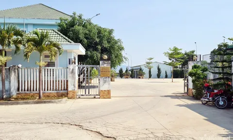 Hủy gói thầu dự án 70 tỷ đồng ở Lâm Đồng, làm rõ sai phạm chủ đầu tư