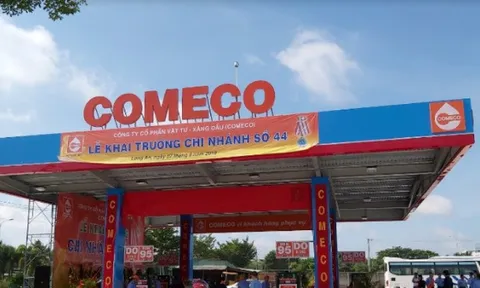 Một doanh nghiệp xăng dầu thu hơn nghìn tỷ nhưng chỉ lãi 600 triệu đồng trong quý 2/2023