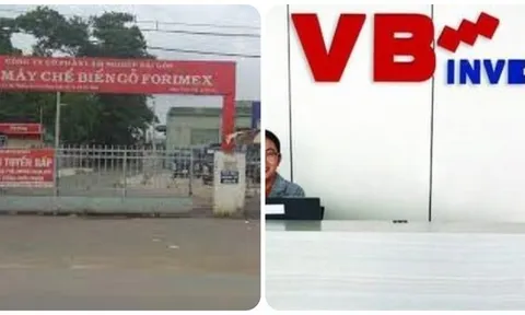 Hai công ty có liên quan đến cá nhân vừa bị phạt vì thao túng cổ phiếu kinh doanh ra sao?