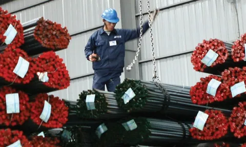 Thép Pomina (POM) trở về với "thực tại"