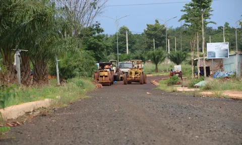 Bình Phước thu hồi đất nhiều dự án bỏ hoang