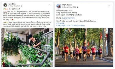 'Triệu cây vươn cao cho Việt Nam xanh' - Kết thúc đẹp chiến dịch xanh