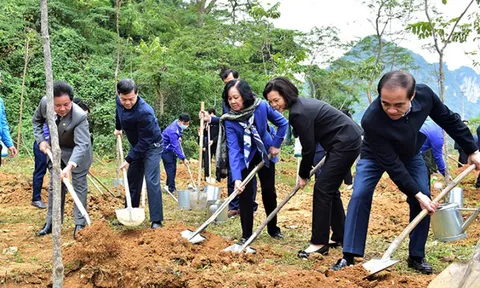 Hoàn thành cột mốc “Một triệu cây xanh cho Việt Nam”