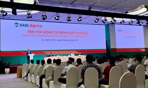 Bầu Đức: Ông Dương sẽ cầm lái thay tôi, cổ đông nên ủng hộ!