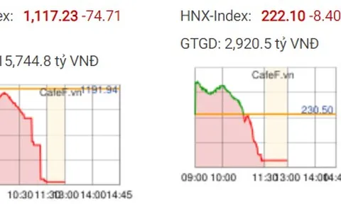 MBS: “Diễn biến giảm nhanh và mạnh của thị trường sẽ không kéo dài, các cổ phiếu bị bán sàn sẽ sớm phục hồi”