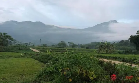 1001 chuyện rắc rối mua đất làm nhà vườn: Mua rồi mới thấu!