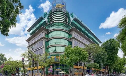 Ba ngân hàng bị chiếm đoạt 430 tỉ đồng bởi Nguyễn Thị Hà Thành