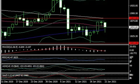 Giá vàng tuần tới 25- 29/1: Chờ “đòn bẩy” từ tân Tổng thống Mỹ Biden