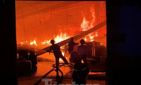 Công nhân bật khóc khi công ty gỗ rộng 5.000m2 bị lửa nhấn chìm