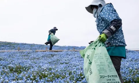 Ngành công nghiệp hoa toàn cầu tơi tả vì Covid-19